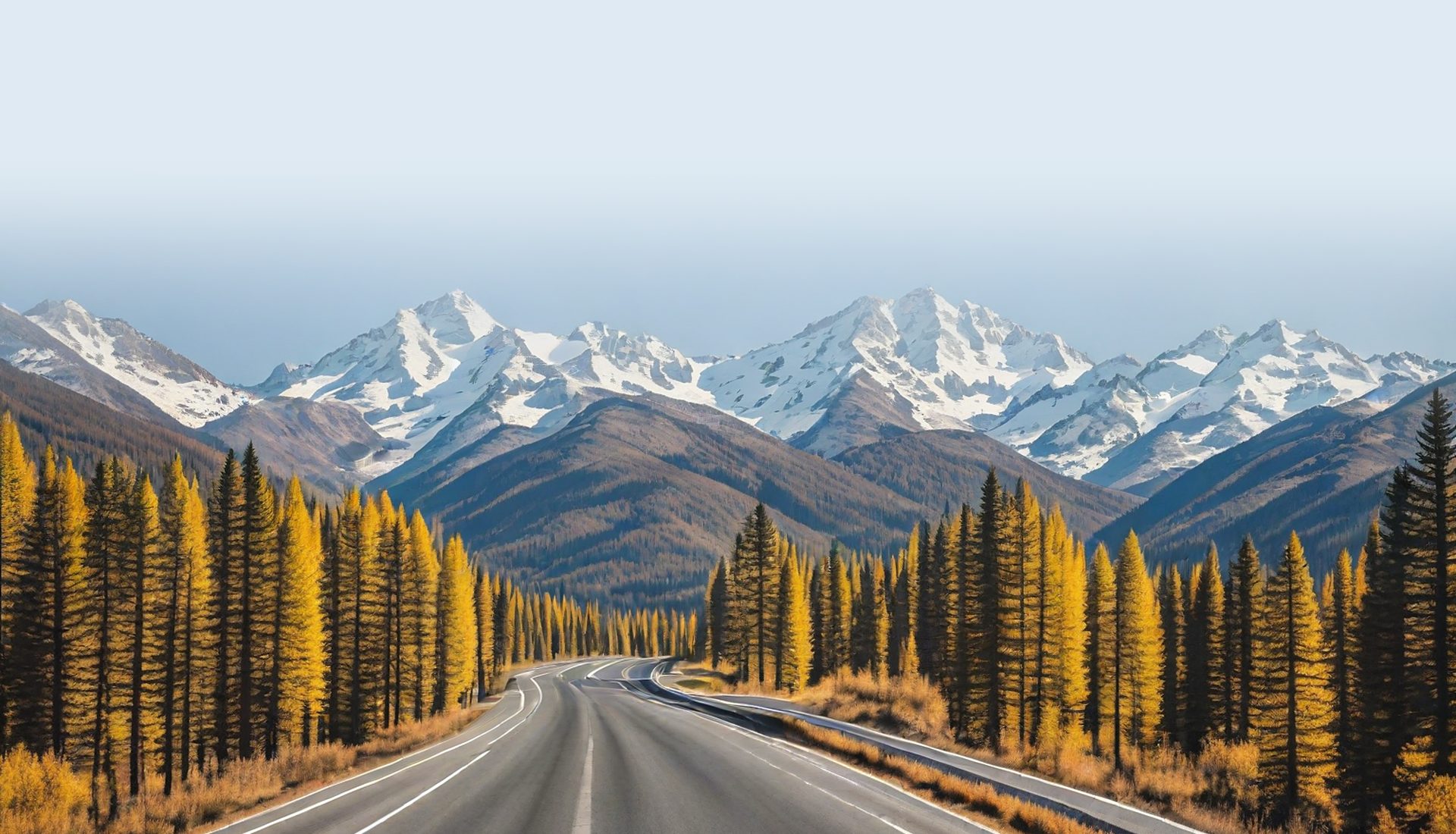 A two-lane road running through golden autumn trees toward snow-capped Colorado mountains